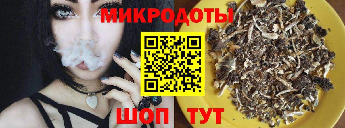 Псилоцибиновые грибы мицелий  Вход с VPN  Кисловодск  Псилоцибиновые грибы мицелий 