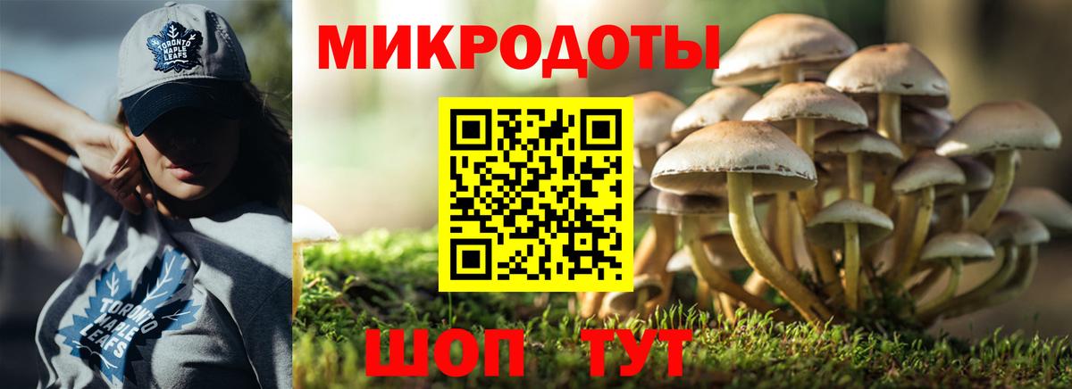 Псилоцибиновые грибы мицелий Кисловодск